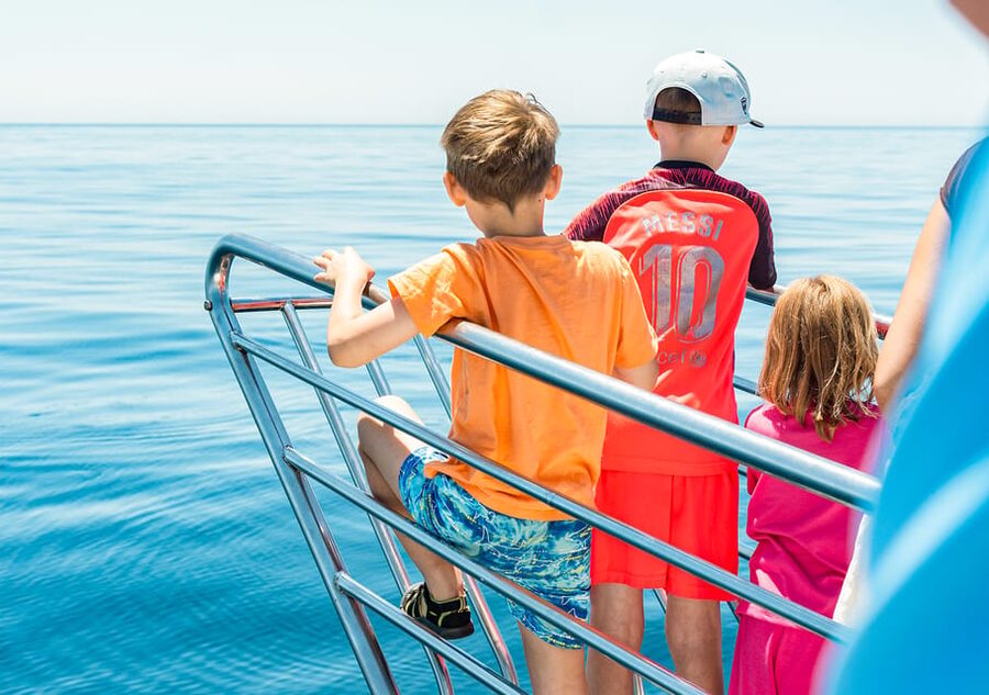 Benalmadena: Dolphin Watching Boat Tour - Life aboard the New Magic