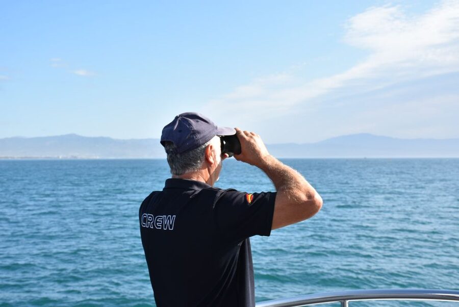 Benalmadena: Dolphin Watching Boat Tour - How rough is the sea?