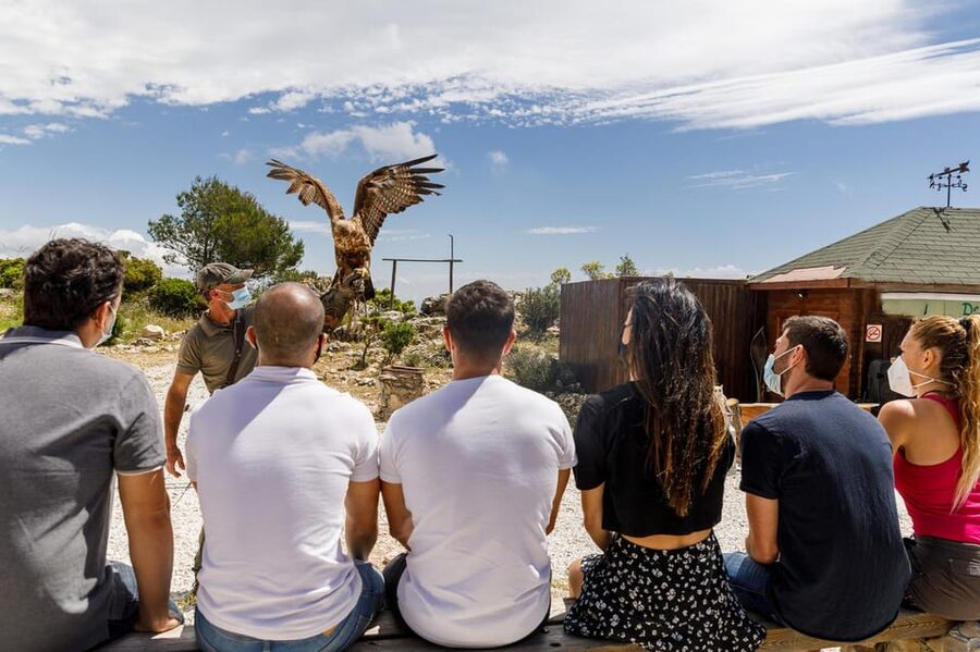 Benalmádena: Mount Calamorro Cable Car Ticket - Is the $21 ticket good value?