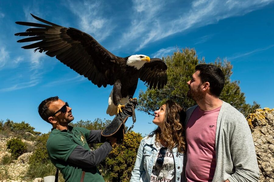 Benalmádena: Mount Calamorro Cable Car Ticket - Should you book the Mount Calamorro cable car?