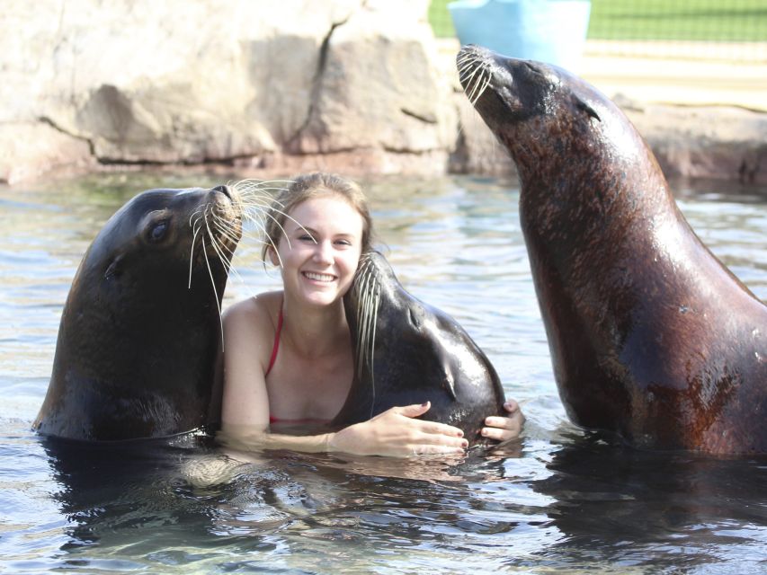 Benidorm: Aqua Natura Amusement Park 1-Day Entry Ticket - The best time to visit