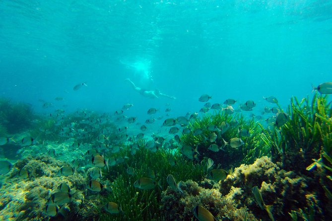 Cabo de Gata Active. Guided kayak and snorkel route through coves of the Natural Park - The guides, safety setup, and language