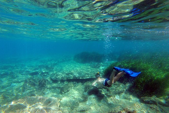 Cabo de Gata Active. Guided kayak and snorkel route through coves of the Natural Park - Is $54.42 a fair price?