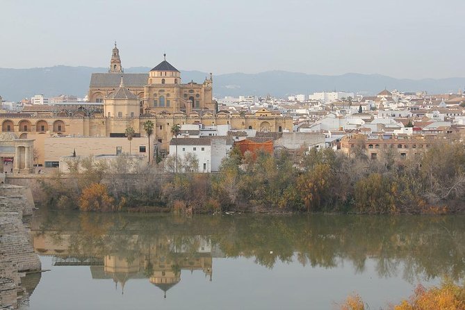 Cordoba & Carmona with Mezquita, Synagoge & Patios from Seville - The Mezquita: give the Mosque-Cathedral your attention