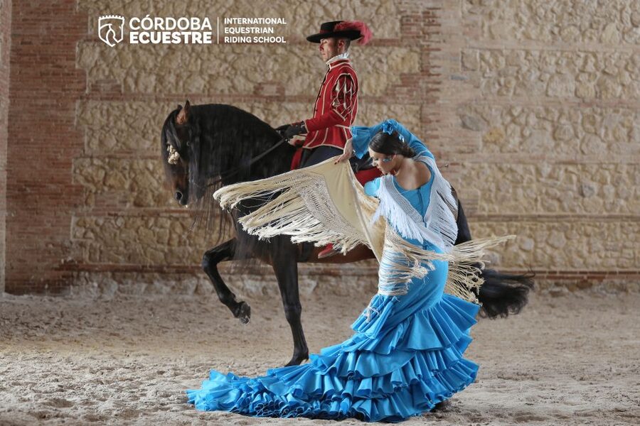 Cordoba: Equestrian Show General Entry - Seating, queues, and how to make arrival easier