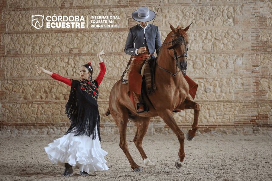 Cordoba: Equestrian Show General Entry - Price and overall value at $21