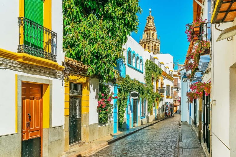 Córdoba: Jewish Quarter, Mosque, and Alcázar Tour - Who should book this four-hour tour