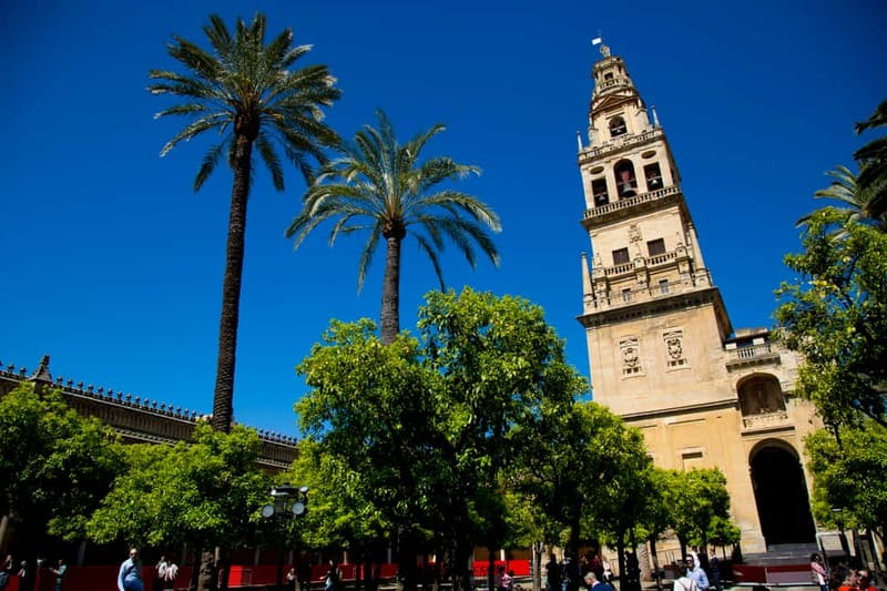 Córdoba: Mosque-Cathedral, Jewish Quarter and Alcázar Tour - Walking through the Jewish Quarter