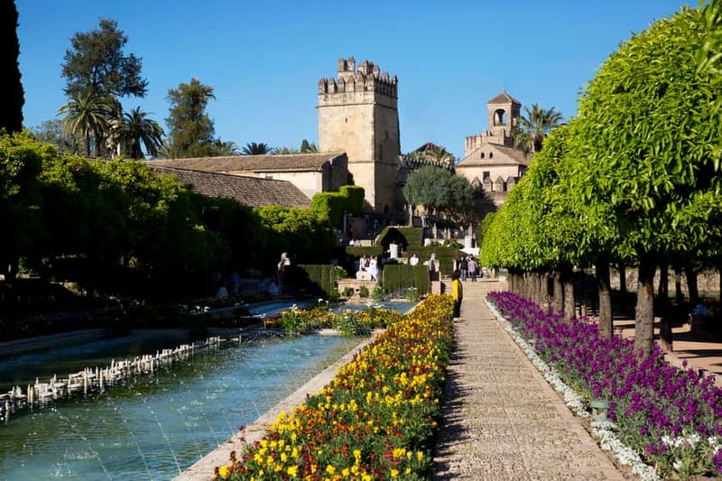 Córdoba: Mosque-Cathedral, Jewish Quarter and Alcázar Tour - Pace, comfort, and who should book