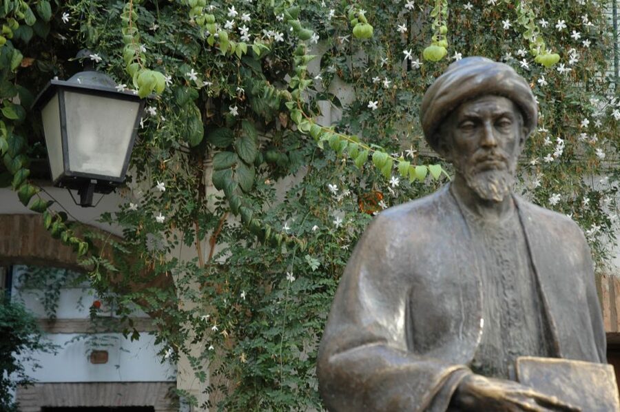 Cordoba Mosque & Jewish Quarter Tour with Tickets - Timing, meeting points, and ticket access