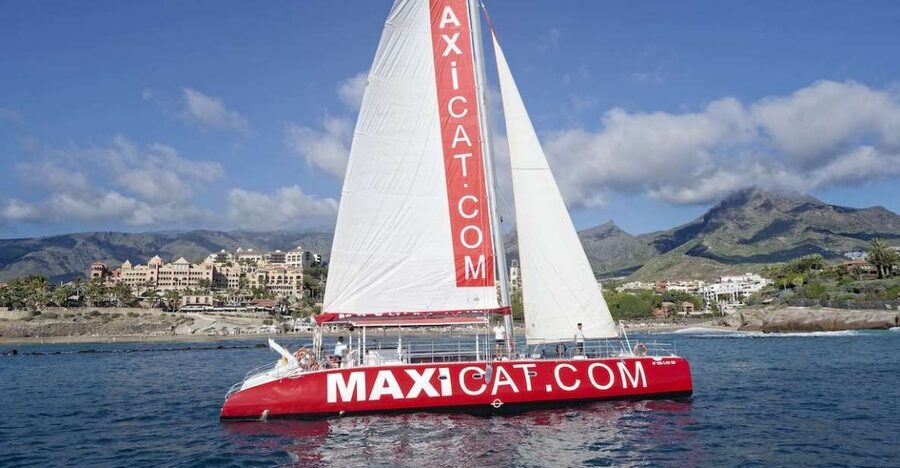 Costa Adeje: Whale and Dolphin Cruise with Food and Pickup - Searching for pilot whales and dolphins