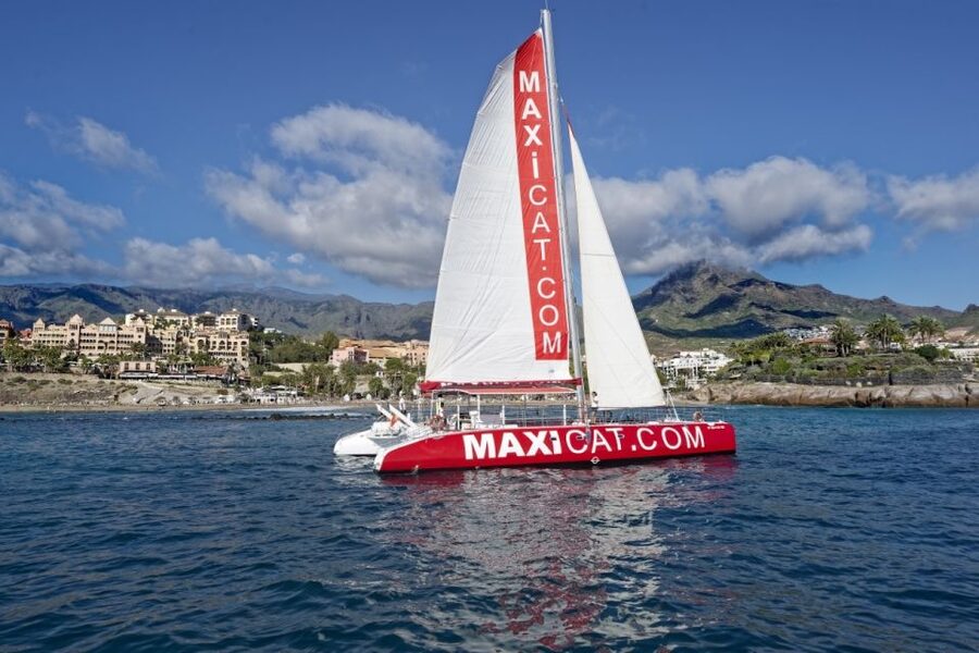 Costa Adeje: Whale and Dolphin Cruise with Food and Pickup - Who should book the Maxicat cruise?