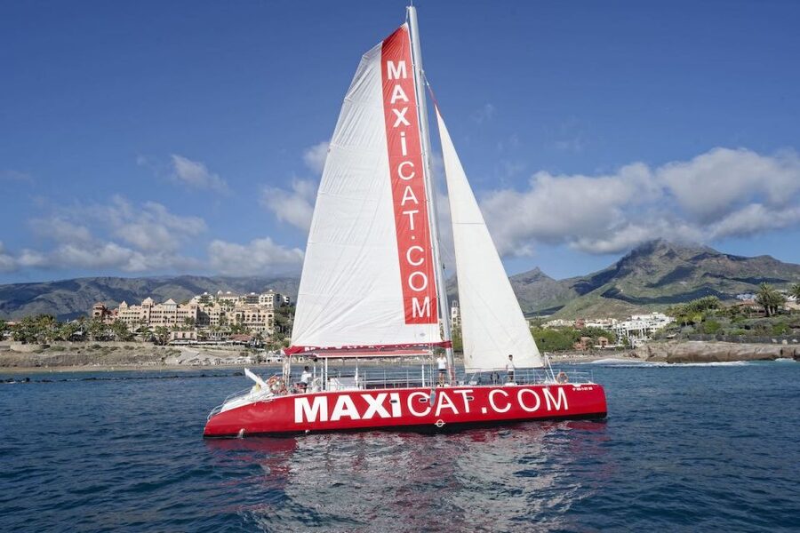 Costa Adeje: Whale and Dolphin Cruise with Food and Pickup - Leaving Puerto Colon on the red Maxicat
