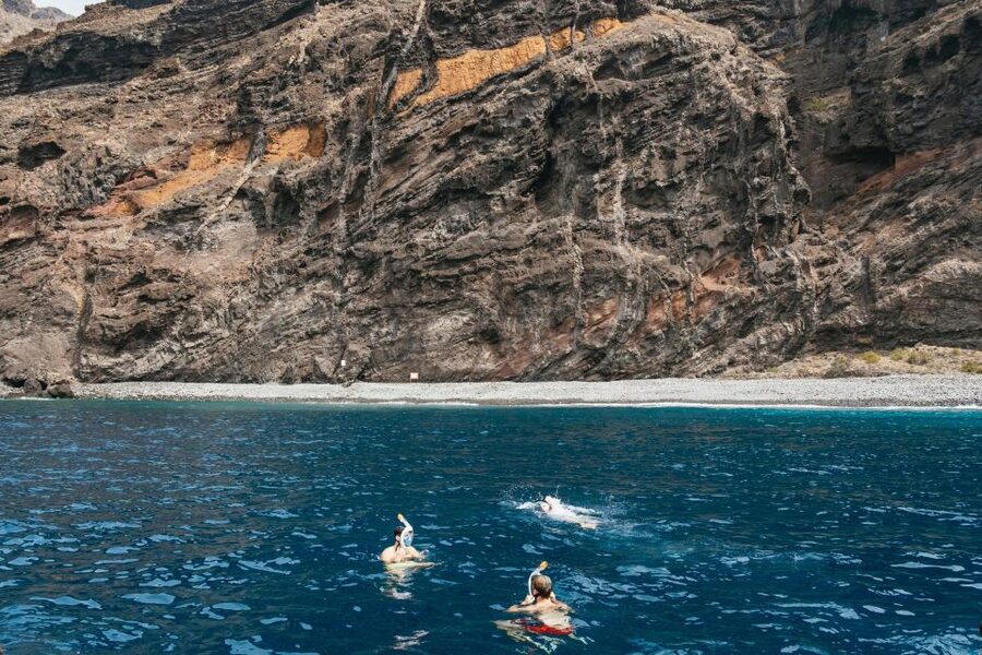 Costa Adeje: Whale & Dolphin Eco-Cruise with Snacks & Drinks - Key points to know before sailing