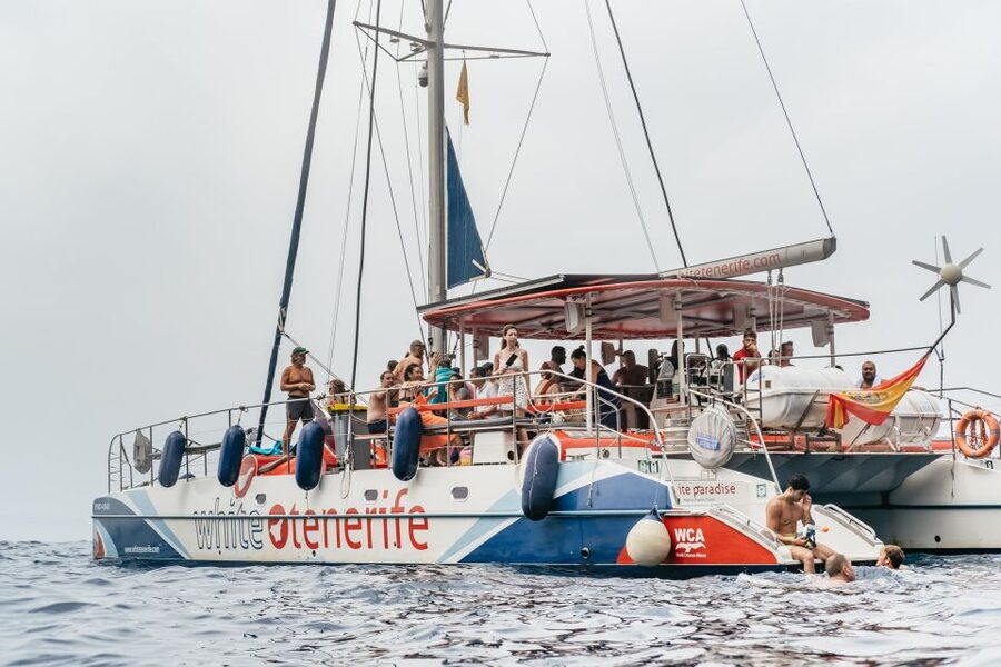Costa Adeje: Whale & Dolphin Eco-Cruise with Snacks & Drinks - Sailing into Tenerife’s whale sanctuary