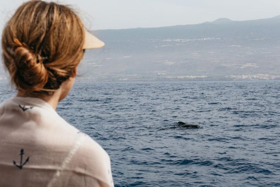 Costa Adeje: Whale & Dolphin Eco-Cruise with Snacks & Drinks - Why the five-hour option earns its extra time