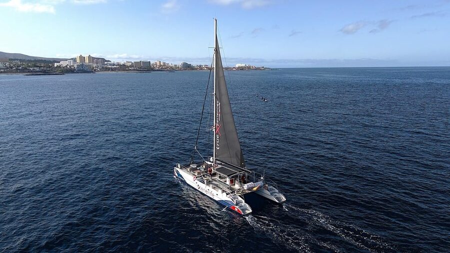 Costa Adeje: Whale & Dolphin Eco-Cruise with Snacks & Drinks - Comfort, seating, and the wet front row