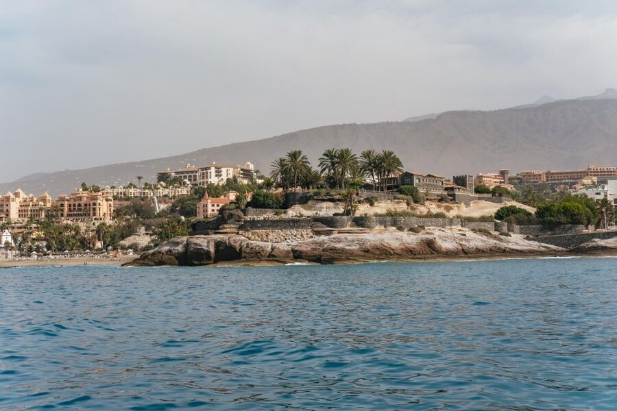 Costa Adeje: Whale & Dolphin Eco-Cruise with Snacks & Drinks - The swim stop and what to pack
