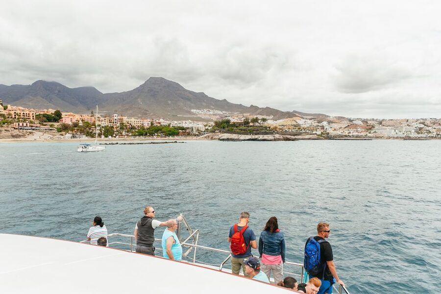 Costa Adeje: Whale & Dolphin Submarine Vision Mini Cruise - What the two-hour itinerary feels like