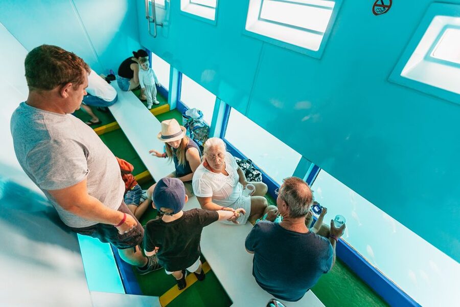 Costa Adeje: Whale & Dolphin Submarine Vision Mini Cruise - Guides, languages, and the feel on board