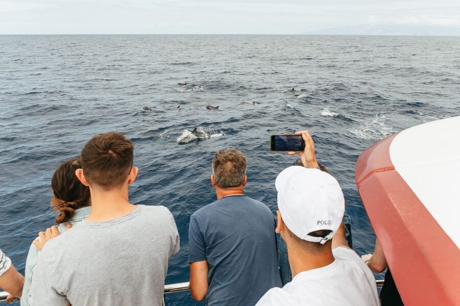 Costa Adeje: Whale & Dolphin Submarine Vision Mini Cruise - How good is the value at $35?