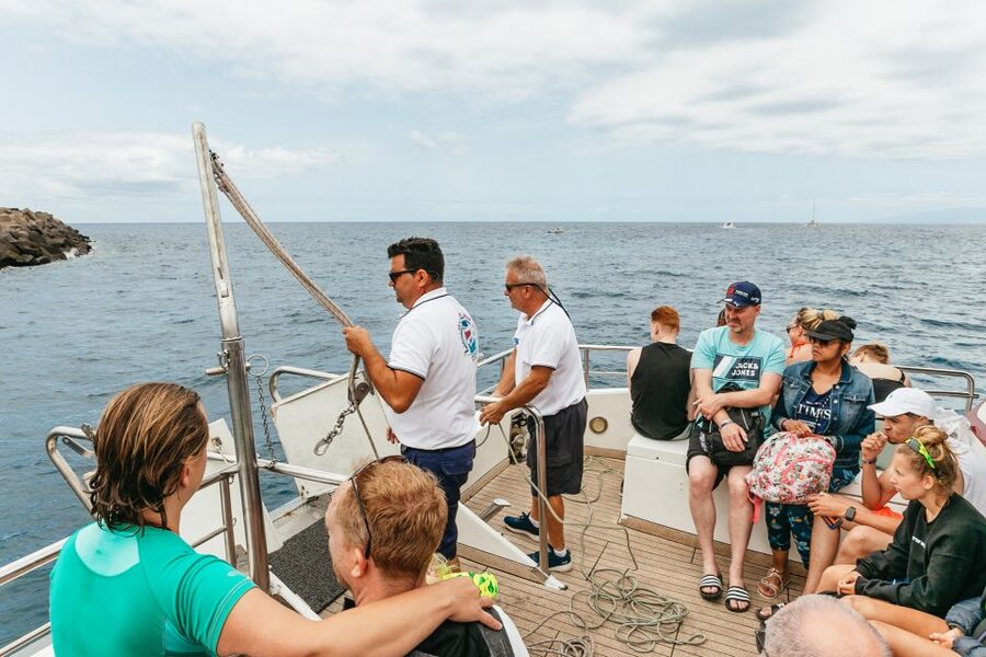 Costa Adeje: Whale & Dolphin Submarine Vision Mini Cruise - What you might see, and what you might not