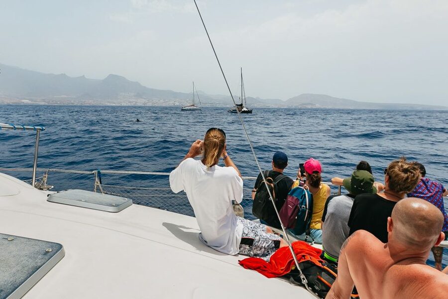 Costa Adeje: Whale Watching Catamaran Tour with Drinks - Who should book this catamaran?