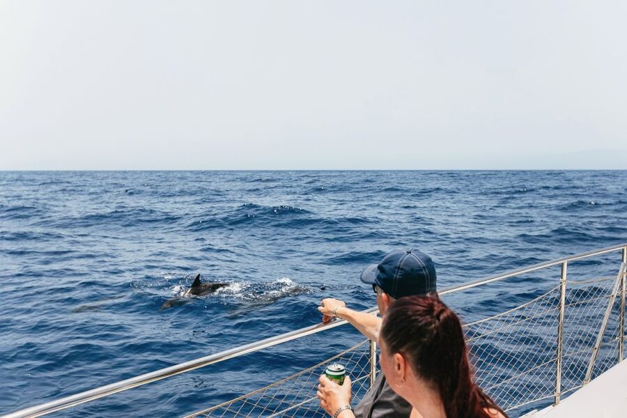 Costa Adeje: Whale Watching Catamaran Tour with Drinks - Finding pilot whales near Tenerife