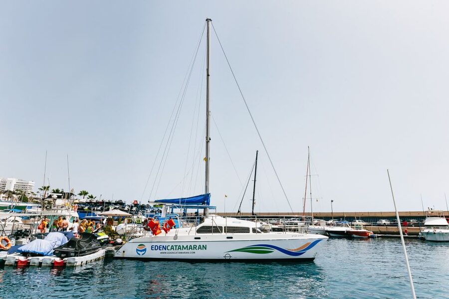 Costa Adeje: Whale Watching Catamaran Tour with Drinks - The fish farm and dolphin search