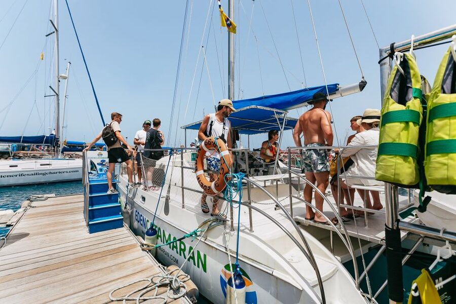 Costa Adeje: Whale Watching Catamaran Tour with Drinks - Sea conditions and what to bring