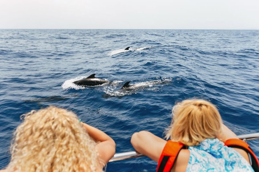 Costa Adeje: Whale Watching Catamaran Tour with Drinks - Leaving Puerto Colón for the open sea