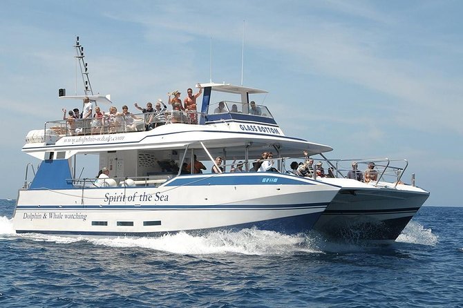 Dolphin and Whales watching cruise from Puerto Rico de Gran Canaria - Setting out from Puerto Rico on Spirit of the Sea