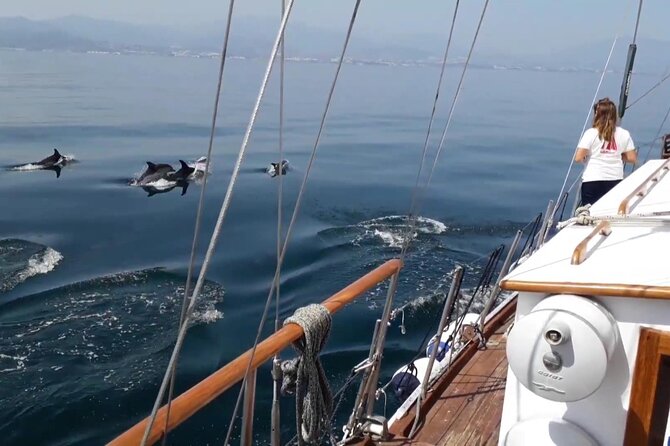 Dolphin Watching Adventure in Estepona Bay - Who will enjoy the Intrepido most