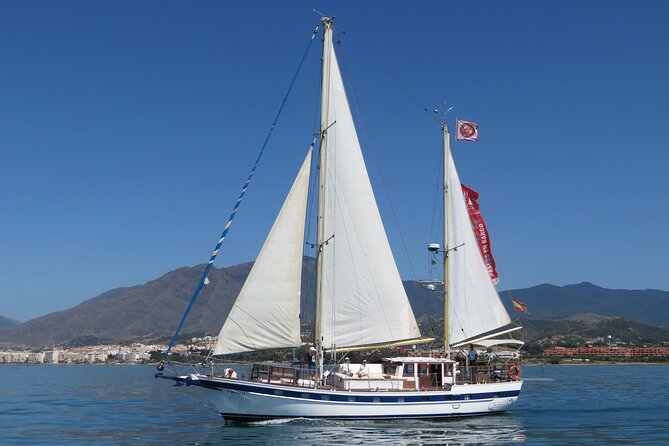 Dolphin Watching Adventure in Estepona Bay - The search for dolphins in Estepona Bay