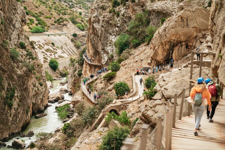 El Chorro: Caminito del Rey Guided Tour with Shuttle Bus - What the guide adds to the experience