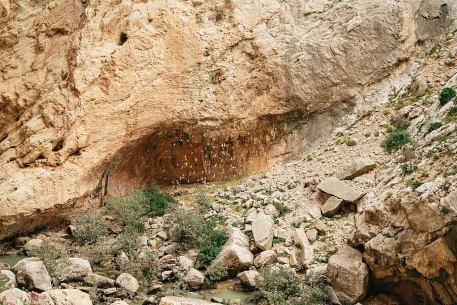 El Chorro: Caminito del Rey Guided Tour with Shuttle Bus - Who should book this walk?
