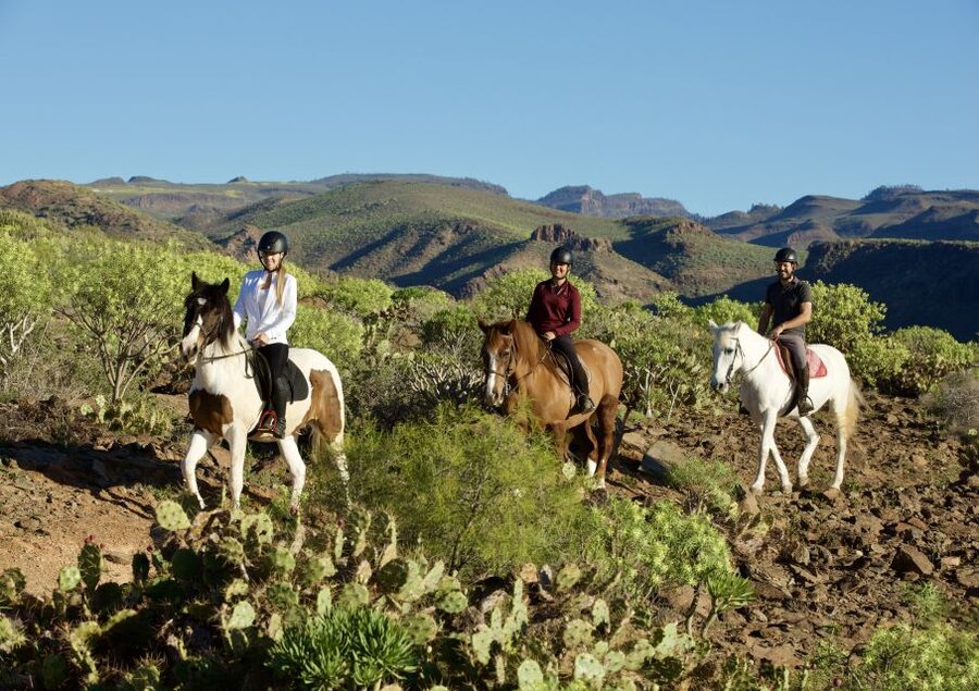 El Salobre: Horse Riding Adventure with Transfer Options - The view toward Maspalomas