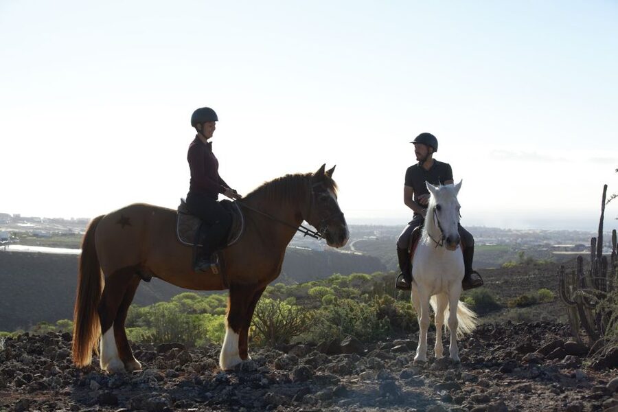 El Salobre: Horse Riding Adventure with Transfer Options - At the ranch before and after the ride