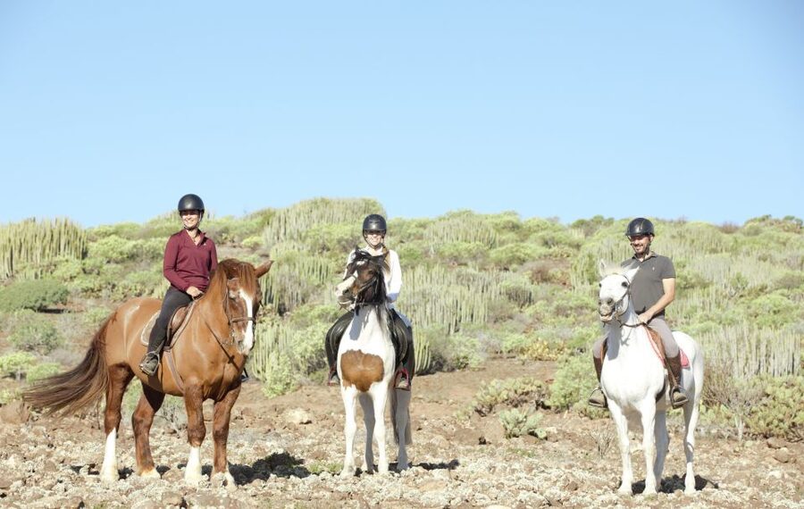El Salobre: Horse Riding Adventure with Transfer Options - Is the transfer worth paying for?