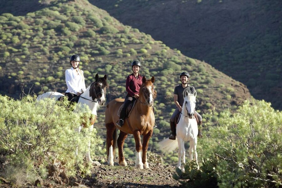 El Salobre: Horse Riding Adventure with Transfer Options - What the route feels like on horseback