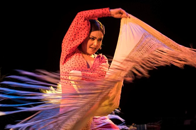 Flamenco Show Ticket at Theatre Barcelona City Hall - The strongest parts of the performance