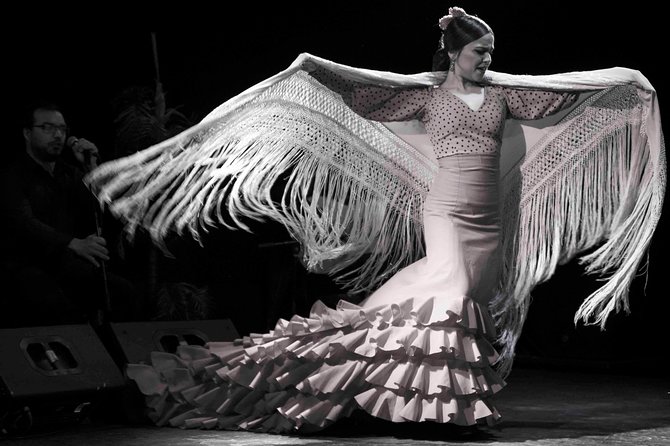 Flamenco Show Ticket at Theatre Barcelona City Hall - Who should book this show