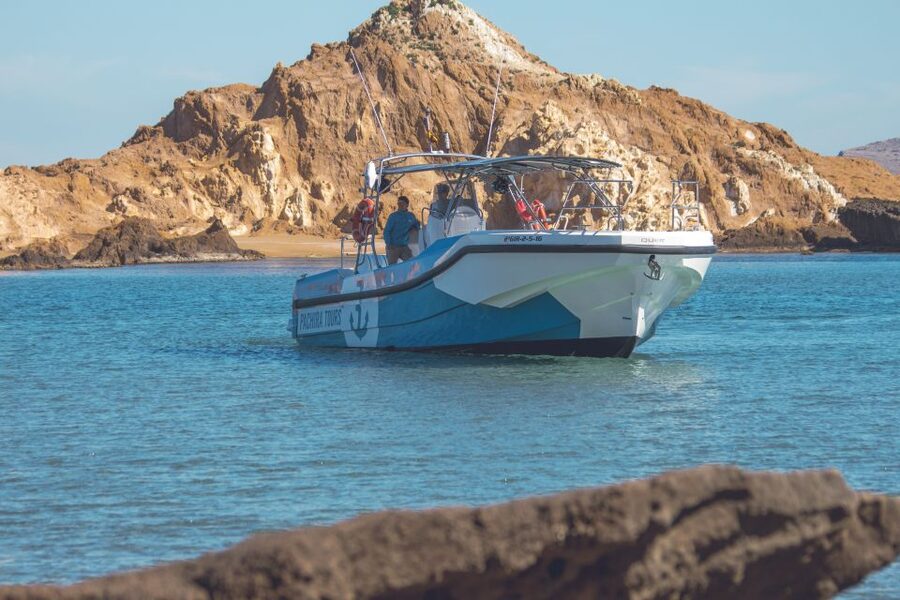 Fornells: 3-Hour Boat Tour Along Menorcan Coast - Choosing between the eastern and western coast