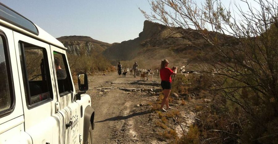 From Almeria: Tabernas Desert 4WD Joyriding Tour - Meeting the 4x4 in Tabernas village