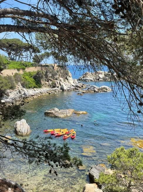 From Barcelona: Costa Brava Kayak & Snorkel Tour with Picnic - Who will enjoy this most