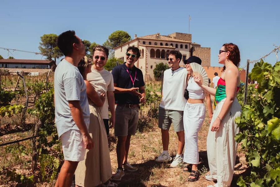 From Barcelona: Full-Day Montserrat & Wine Small Group Tour - The Guide Can Make or Break the Day