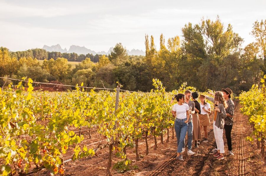 From Barcelona: Full-Day Montserrat & Wine Small Group Tour - Is $117 a Fair Price?