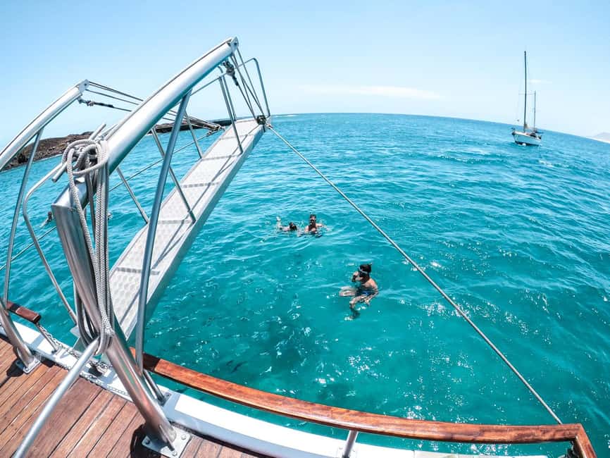 From Corralejo: Lobos Island Boat and Snorkel Activity - How the ferry and Majorero boat activity fit together
