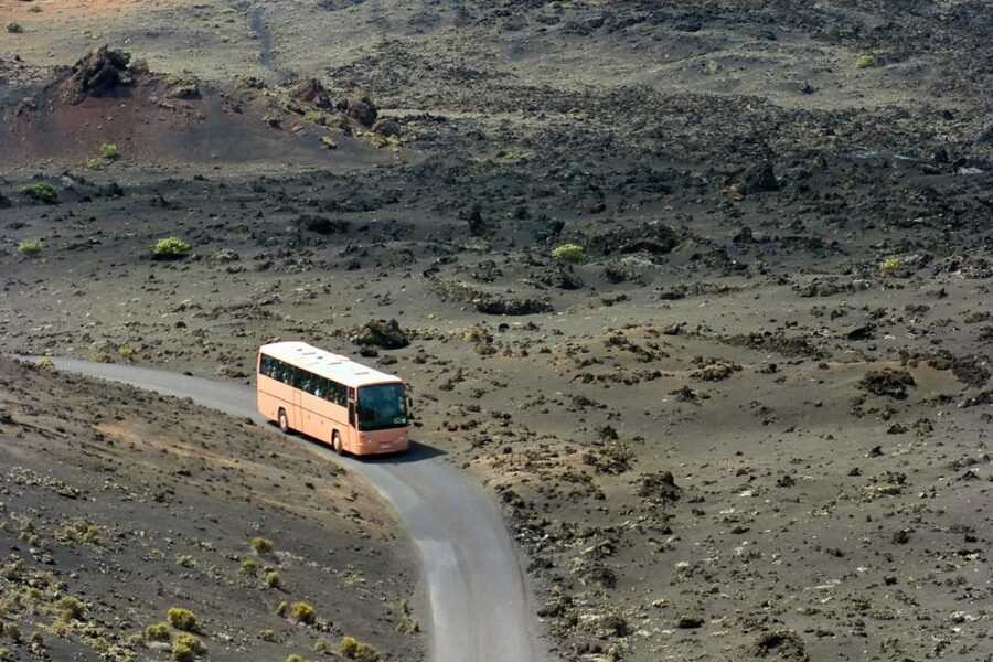 From Fuerteventura: Lanzarote Volcano and Wine Region Tour - Who should book this Lanzarote excursion?