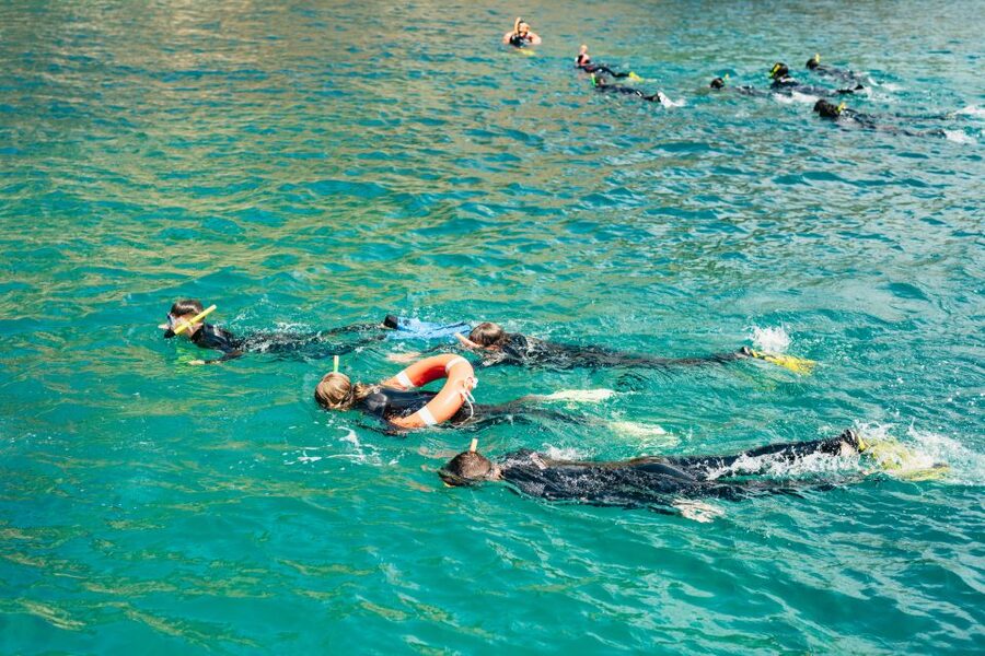 From L’Estartit: Snorkeling Trip to the Medes Islands - Reaching the Medes Islands from L’Estartit